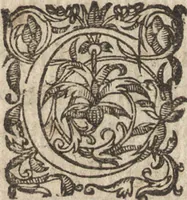 An illustration from Le commentaire royal, ou, L'histoire des Yncas, roys du Peru : contenant leur origine, depuis le premier Ynca Manco Capac, leur establissement, leur idolatrie, leurs sacrifices, leurs vies, leurs loix, leur gouuernement en paix & en guerre ... : ensemble vne descriptton particuliere des animaux, des fruicts, des mineraux, des plantes, & des singularitez du païs : oeuure curieuse, & tout à faict necessaire à l'intelligence de l'Histoire des Indes (1633)