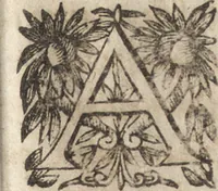 Picture 81 of 106 from Le commentaire royal, ou, L'histoire des Yncas, roys du Peru : contenant leur origine, depuis le premier Ynca Manco Capac, leur establissement, leur idolatrie, leurs sacrifices, leurs vies, leurs loix, leur gouuernement en paix & en guerre ... : ensemble vne descriptton particuliere des animaux, des fruicts, des mineraux, des plantes, & des singularitez du païs : oeuure curieuse, & tout à faict necessaire à l'intelligence de l'Histoire des Indes (1633), leaf 526