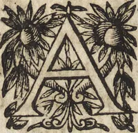 An illustration from Le commentaire royal, ou, L'histoire des Yncas, roys du Peru : contenant leur origine, depuis le premier Ynca Manco Capac, leur establissement, leur idolatrie, leurs sacrifices, leurs vies, leurs loix, leur gouuernement en paix & en guerre ... : ensemble vne descriptton particuliere des animaux, des fruicts, des mineraux, des plantes, & des singularitez du païs : oeuure curieuse, & tout à faict necessaire à l'intelligence de l'Histoire des Indes (1633)