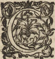 An illustration from Le commentaire royal, ou, L'histoire des Yncas, roys du Peru : contenant leur origine, depuis le premier Ynca Manco Capac, leur establissement, leur idolatrie, leurs sacrifices, leurs vies, leurs loix, leur gouuernement en paix & en guerre ... : ensemble vne descriptton particuliere des animaux, des fruicts, des mineraux, des plantes, & des singularitez du païs : oeuure curieuse, & tout à faict necessaire à l'intelligence de l'Histoire des Indes (1633)