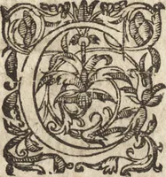 An illustration from Le commentaire royal, ou, L'histoire des Yncas, roys du Peru : contenant leur origine, depuis le premier Ynca Manco Capac, leur establissement, leur idolatrie, leurs sacrifices, leurs vies, leurs loix, leur gouuernement en paix & en guerre ... : ensemble vne descriptton particuliere des animaux, des fruicts, des mineraux, des plantes, & des singularitez du païs : oeuure curieuse, & tout à faict necessaire à l'intelligence de l'Histoire des Indes (1633)
