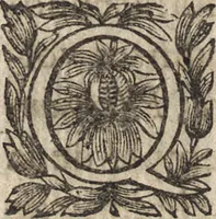 An illustration from Le commentaire royal, ou, L'histoire des Yncas, roys du Peru : contenant leur origine, depuis le premier Ynca Manco Capac, leur establissement, leur idolatrie, leurs sacrifices, leurs vies, leurs loix, leur gouuernement en paix & en guerre ... : ensemble vne descriptton particuliere des animaux, des fruicts, des mineraux, des plantes, & des singularitez du païs : oeuure curieuse, & tout à faict necessaire à l'intelligence de l'Histoire des Indes (1633)