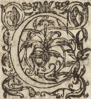 An illustration from Le commentaire royal, ou, L'histoire des Yncas, roys du Peru : contenant leur origine, depuis le premier Ynca Manco Capac, leur establissement, leur idolatrie, leurs sacrifices, leurs vies, leurs loix, leur gouuernement en paix & en guerre ... : ensemble vne descriptton particuliere des animaux, des fruicts, des mineraux, des plantes, & des singularitez du païs : oeuure curieuse, & tout à faict necessaire à l'intelligence de l'Histoire des Indes (1633)