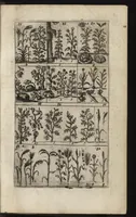 An illustration from Eerste deel der school-geleertheyd, genoemt Het portael : inhoudende de grondtveste der dingen, en onser wijsheyd omtrent de dingen, als mede der latijnschen tael met de moeder-tael ... = Joh. Amos ComenI prima pars Scholasticae eruditionis, dicta vestibulum : continens fundamenta rerum, & nostrae sapientiae circa res, ut & latinae linguae cum vernacula (1658)