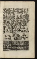 An illustration from Eerste deel der school-geleertheyd, genoemt Het portael : inhoudende de grondtveste der dingen, en onser wijsheyd omtrent de dingen, als mede der latijnschen tael met de moeder-tael ... = Joh. Amos ComenI prima pars Scholasticae eruditionis, dicta vestibulum : continens fundamenta rerum, & nostrae sapientiae circa res, ut & latinae linguae cum vernacula (1658)