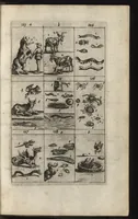 An illustration from Eerste deel der school-geleertheyd, genoemt Het portael : inhoudende de grondtveste der dingen, en onser wijsheyd omtrent de dingen, als mede der latijnschen tael met de moeder-tael ... = Joh. Amos ComenI prima pars Scholasticae eruditionis, dicta vestibulum : continens fundamenta rerum, & nostrae sapientiae circa res, ut & latinae linguae cum vernacula (1658)