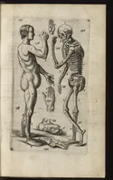 An illustration from Eerste deel der school-geleertheyd, genoemt Het portael : inhoudende de grondtveste der dingen, en onser wijsheyd omtrent de dingen, als mede der latijnschen tael met de moeder-tael ... = Joh. Amos ComenI prima pars Scholasticae eruditionis, dicta vestibulum : continens fundamenta rerum, & nostrae sapientiae circa res, ut & latinae linguae cum vernacula (1658)