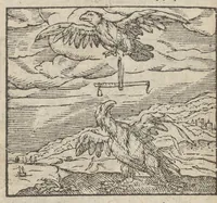 Picture 6 of 39 from Emblemata, et aliqvot nvmmi antiqvi operis, Ioan. Sambvci Tirnaviensis Pannonii (1576), leaf 39