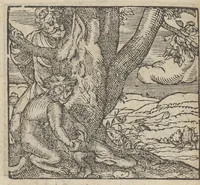 Picture 7 of 39 from Emblemata, et aliqvot nvmmi antiqvi operis, Ioan. Sambvci Tirnaviensis Pannonii (1576), leaf 51