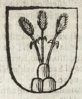 Picture 33 of 70 from Cronologia delle famiglie nobili di Bologna, con le loro insegne, e nel fine i cimieri : centuria prima, con vn breue discorso della medesima città (1670), leaf 351