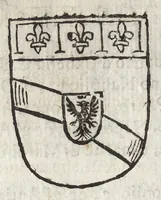 Picture 47 of 70 from Cronologia delle famiglie nobili di Bologna, con le loro insegne, e nel fine i cimieri : centuria prima, con vn breue discorso della medesima città (1670), leaf 509