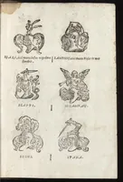 Picture 70 of 70 from Cronologia delle famiglie nobili di Bologna, con le loro insegne, e nel fine i cimieri : centuria prima, con vn breue discorso della medesima città (1670), leaf 778