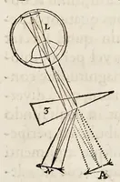 Picture 11 of 32 from De homine (1662), leaf 104