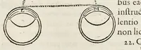 Picture 12 of 32 from De homine (1662), leaf 106