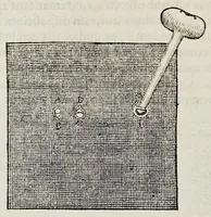 Picture 17 of 32 from De homine (1662), leaf 127