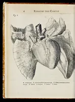 An illustration from De homine (1662)