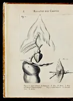 Picture 5 of 32 from De homine (1662), leaf 47