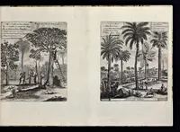 An illustration from Les Indes Orientales et Occidentales, et autres lieux : représenté en très-belles figures, qui montrent au naturel les peuples, moeurs, religions, fêtes, sacrifices, mosquées, idoles, richesses, ceremonies,festins, tribunaux, supplices et esclavages ... (1685)
