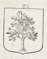 Picture 33 of 46 from La science heroique : traitant de la noblesse et de l'origine des armes, de leurs blasons & symboles : des timbres, bourlets, couronnes, cimiers, lambrequins, supports, tenans, & autres ornamens de l'ecu : de la devise & du cry de guerre, de l'ecu pendant, des pas & emprises des anciens chevaliers, & des formes differentes de leurs tombeaux : et enfin des marques exterieures de l'ecu de nos rois, des reines, enfans de France, & des officiers de la couronne, & de la maison du roy (1669), leaf 394