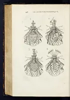 Picture 38 of 46 from La science heroique : traitant de la noblesse et de l'origine des armes, de leurs blasons & symboles : des timbres, bourlets, couronnes, cimiers, lambrequins, supports, tenans, & autres ornamens de l'ecu : de la devise & du cry de guerre, de l'ecu pendant, des pas & emprises des anciens chevaliers, & des formes differentes de leurs tombeaux : et enfin des marques exterieures de l'ecu de nos rois, des reines, enfans de France, & des officiers de la couronne, & de la maison du roy (1669), leaf 471