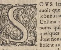 An illustration from Les curiositez de l'vne et l'autre Rome, I.[-2.] partie du I.[-2.] livre. Ou, traité des plus augustes temples & autres lieux saincts de Rome chrestienne. En laquelle il est traité des sept eglises principales de Rome & de plusieurs autres qui en sont proche. Diuisé en deux liures, & enrichy de plusieurs figures en taille douce (1672)