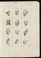 An illustration from Museum statue antiquorum : collection de statues des divers museum de Rome, Naples, Florence, &c : à l'usage des peintres, sculpteurs, architectes et amateurs des beaux arts (1700)