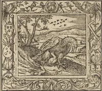 Picture 70 of 187 from Emblemata cvm aliqvot nvmmis antiqvi operis (1564), leaf 100