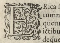 An illustration from Iardin de fleurs : contenant en soy les plus rares et plus excellentes fleurs que pour le present les amateurs dicelles tiennent en grande estime et dignite : divisees selon les quatre saisons de l'an (1617)