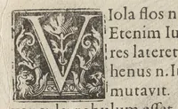 An illustration from Iardin de fleurs : contenant en soy les plus rares et plus excellentes fleurs que pour le present les amateurs dicelles tiennent en grande estime et dignite : divisees selon les quatre saisons de l'an (1617)