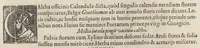 An illustration from Iardin de fleurs : contenant en soy les plus rares et plus excellentes fleurs que pour le present les amateurs dicelles tiennent en grande estime et dignite : divisees selon les quatre saisons de l'an (1617)