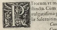 An illustration from Iardin de fleurs : contenant en soy les plus rares et plus excellentes fleurs que pour le present les amateurs dicelles tiennent en grande estime et dignite : divisees selon les quatre saisons de l'an (1617)