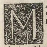 An illustration from Iardin de fleurs : contenant en soy les plus rares et plus excellentes fleurs que pour le present les amateurs dicelles tiennent en grande estime et dignite : divisees selon les quatre saisons de l'an (1617)