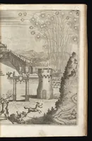 Picture 4 of 7 from Von Himmeln entzindete vnd durch allgemainen Zuruff der Erde sich himmelwerts erschwingende Frolokhungs Flammen : zur Begengnus des hochzeitlichen Beylägers beeder Khaiserlichen Maiestäten, Leopoldi des ersten, Römischen Kaisers auch zu Hungarn vnd Böham Königs, Ertzhertzogen zu Oestereich etc., vnd Margarita geborner Infantin aus Hispanien (1666), leaf 14