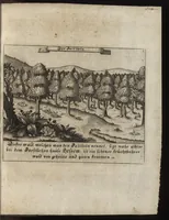An illustration from Beschreibung des ganzen Fürstlich Braunschw. Gartens zu Hessem : mit seinen künstliche[n] Abteihlungen, Qvartiren, Gehegken, Gebeüden, LauberHütten, WasserKünsten, Brunnen und ausgehawenen Bildern : auch ordentliche Specification aller derer Simplicium und Gewechse, so von A[nn]o 1607 bis in dass 1651. Jahr, darinnen ... gezeuget worden : worbeij ein nohtwendiger Unterricht, wie ein feiner Lust-, Obst- und Küchengarte anzulegen ... : uber das eine gute Anleitung wie man allerleij sonderliche GärtenGewächse in der Küchen vielfältig nutzen solle : und was für feine Simplicia in den benachbarten Wäldern, Bergen, Gründen, Brüchen und auf den Hügeln in der See zu finden, und auf zu heben seÿn (1653)
