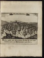 Picture 4 of 7 from Beschreibung des ganzen Fürstlich Braunschw. Gartens zu Hessem : mit seinen künstliche[n] Abteihlungen, Qvartiren, Gehegken, Gebeüden, LauberHütten, WasserKünsten, Brunnen und ausgehawenen Bildern : auch ordentliche Specification aller derer Simplicium und Gewechse, so von A[nn]o 1607 bis in dass 1651. Jahr, darinnen ... gezeuget worden : worbeij ein nohtwendiger Unterricht, wie ein feiner Lust-, Obst- und Küchengarte anzulegen ... : uber das eine gute Anleitung wie man allerleij sonderliche GärtenGewächse in der Küchen vielfältig nutzen solle : und was für feine Simplicia in den benachbarten Wäldern, Bergen, Gründen, Brüchen und auf den Hügeln in der See zu finden, und auf zu heben seÿn (1653), leaf 162