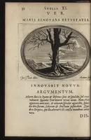 Picture 5 of 20 from Firmamentum symbolicum: in quo Deiparae elogia, quibus, velut firmamentum stellis, est exornata, symbolice depinguntur; opus ... (1652), leaf 47