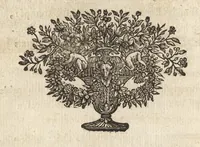 Picture 10 of 23 from Les Metamorphoses d'Ovide : mises en vers françois (1697), leaf 205