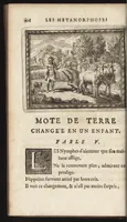 Picture 21 of 23 from Les Metamorphoses d'Ovide : mises en vers françois (1697), leaf 425