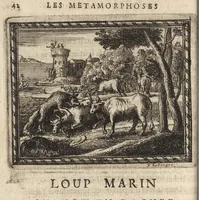 Picture 6 of 23 from Les Metamorphoses d'Ovide : mises en vers françois (1697), leaf 51