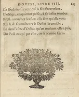 Picture 14 of 26 from Les Metamorphoses d'Ovide : mises en vers françois (1697), leaf 234