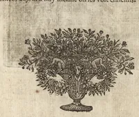 An illustration from Les Metamorphoses d'Ovide : mises en vers françois (1697)