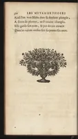 An illustration from Les Metamorphoses d'Ovide : mises en vers françois (1697)
