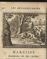 An illustration from Les Metamorphoses d'Ovide : mises en vers françois (1697)