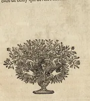 Picture 2 of 23 from Les Metamorphoses d'Ovide : mises en vers françois (1697), leaf 28