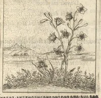 An illustration from Emblesmes royales a Louis le Grand (1673)