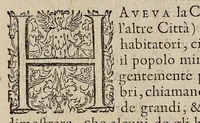 An illustration from Le historie della citta di Fiorenza di m. Iacopo Nardi cittadino fiorentino : le quali con tutta quella particolarità che bisogna, contengono quanto dal' anno 1494 fino al tempo del' anno 1531 è successo : con vn catalogo de gonfalonieri di giustitia, che hanno seduto nel supremo magistrato della citta di Fiorenza : et nella fine vn discorso sopra lo stato della magnifica città di Lione : nuoamente poste in luce (1582)