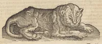 Picture 8 of 30 from Römische Historien : jetzundt mit gantzem fleiss besichtigt gebessert uñ gemert ... (1538), leaf 178