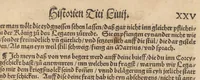An illustration from Römische Historien : jetzundt mit gantzem fleiss besichtigt gebessert uñ gemert ... (1538)