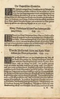 An illustration from Der Hungern Chronica : inhaltend wie sie anfenklich ins land kommen sind mit anzeygung aller irer König und was sie namhafftigs gethon haben : angefangen von ersten König Athila vñ volfüret biss auff König Ludwig so im 1526. Jar bey Mohatz vom Türcken vmbkommen ist (1534)