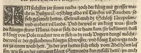 An illustration from Der Hungern Chronica : inhaltend wie sie anfenklich ins land kommen sind mit anzeygung aller irer König und was sie namhafftigs gethon haben : angefangen von ersten König Athila vñ volfüret biss auff König Ludwig so im 1526. Jar bey Mohatz vom Türcken vmbkommen ist (1534)